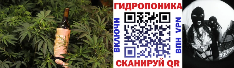 ОМГ ОМГ зеркало  Новоржев  Еда ТГК марихуана 