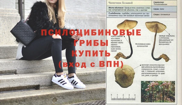 шишки Верхнеуральск