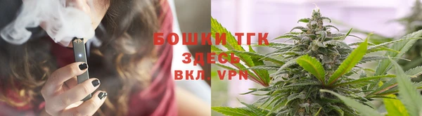 гашик Богородицк